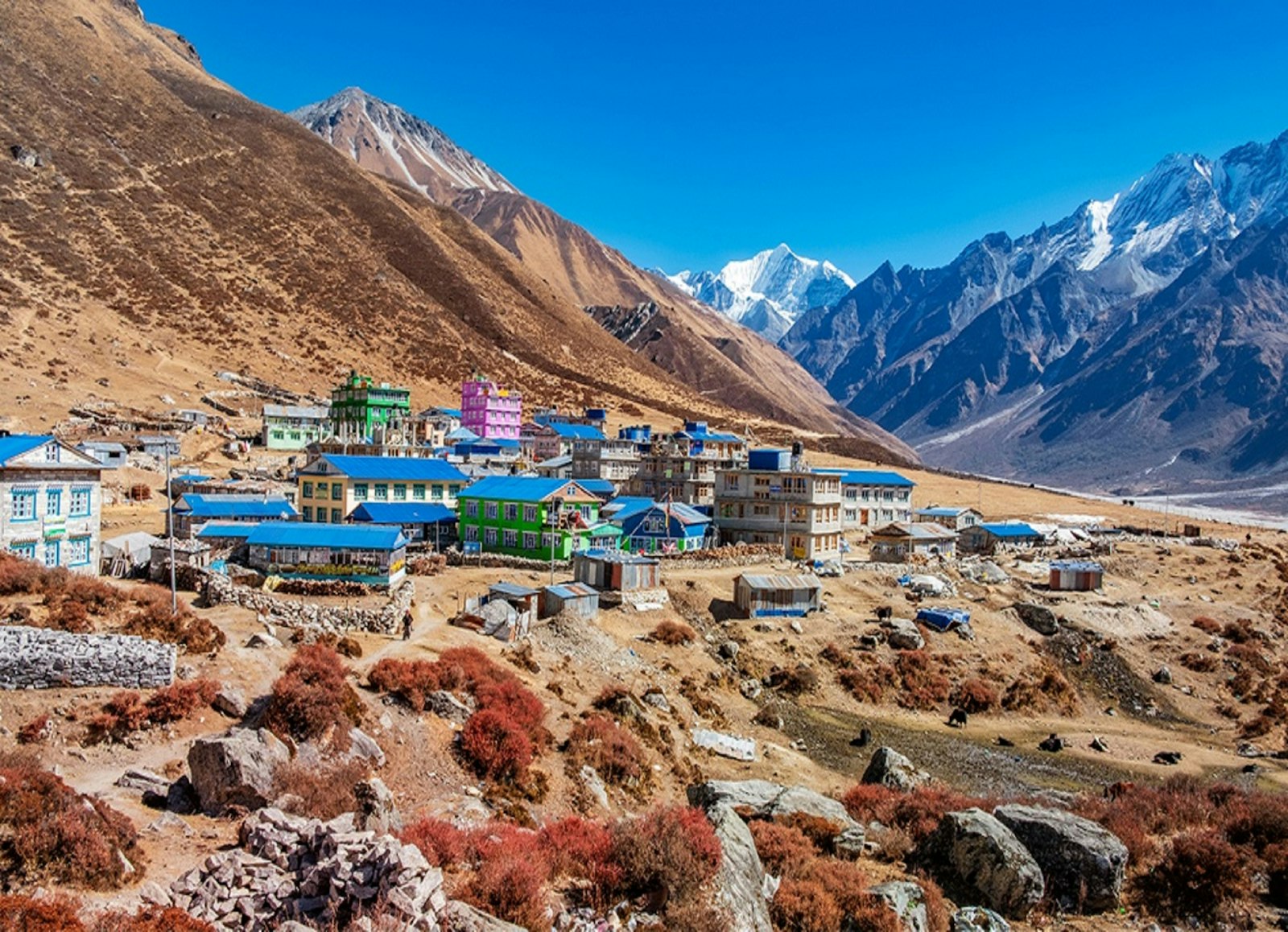 The History of Nar Phu Valley: From Tibet's Lost Kingdom to Nepal's Hidden Gem