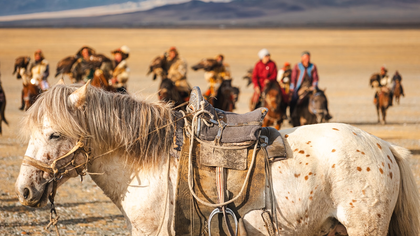 Yartung Festival: Horse Races at the Top of the World in Nar Phu Valley